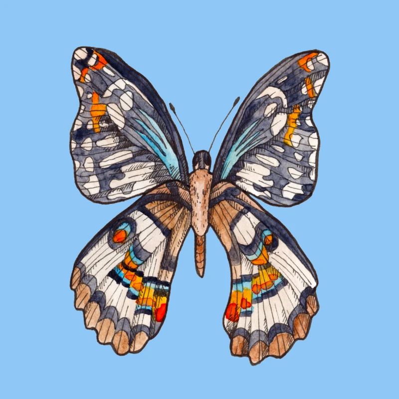 Papillon brun
