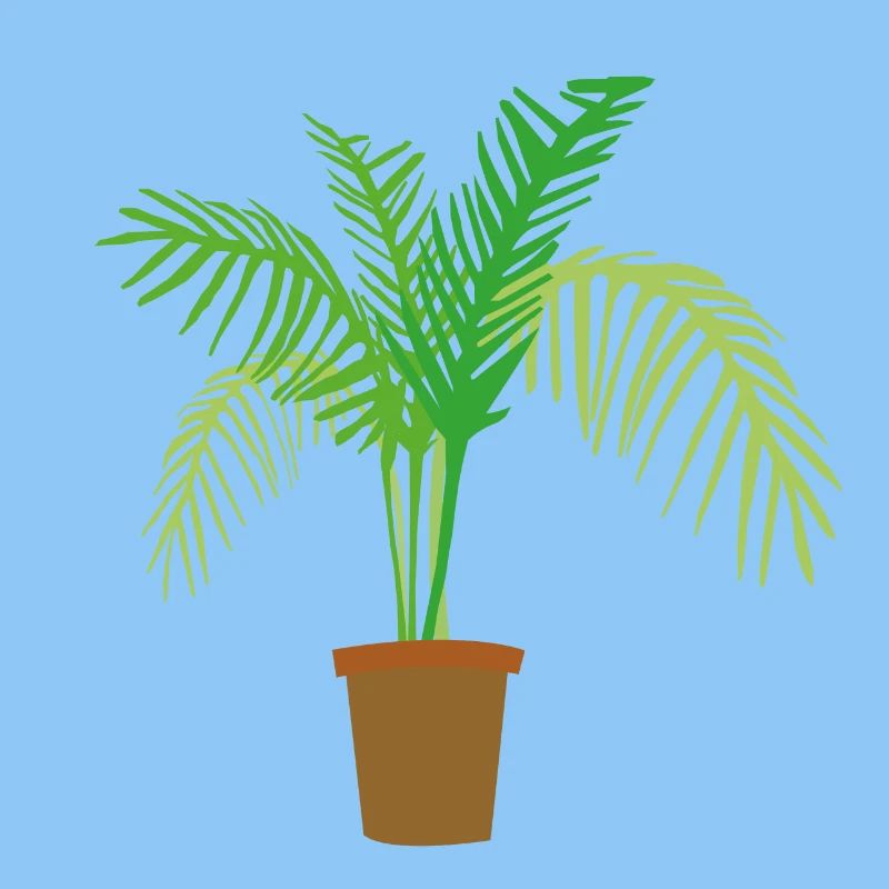 palm tree