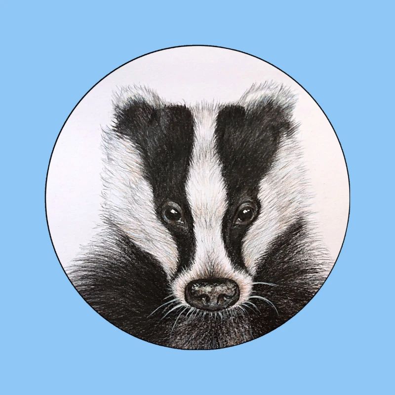 Badger /Badger