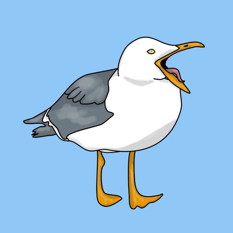 Möwe - Seagull