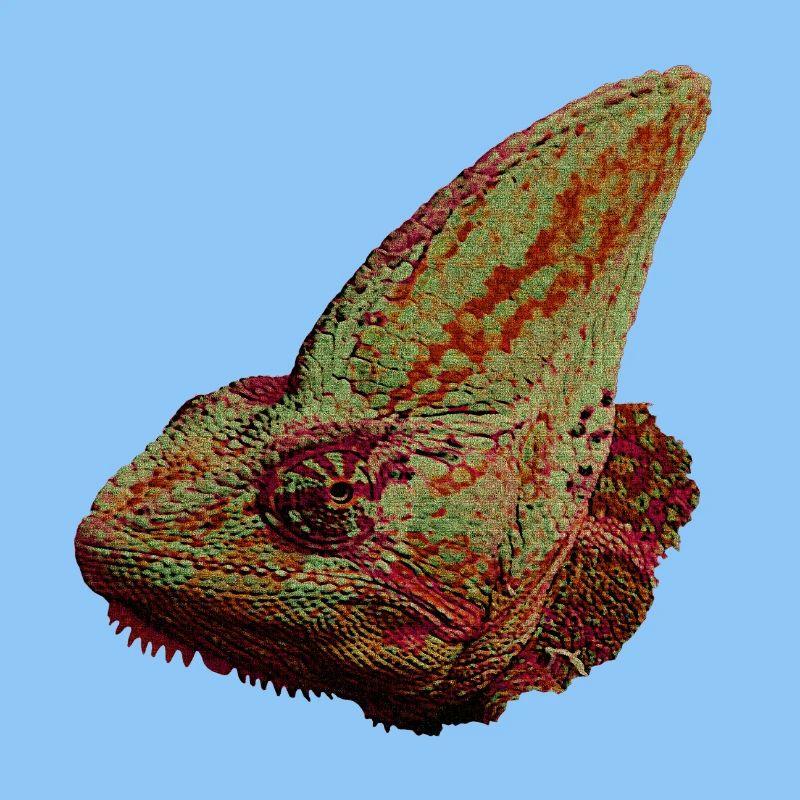 Reptilien designs, Chameleonkopf, freizeitkleidung