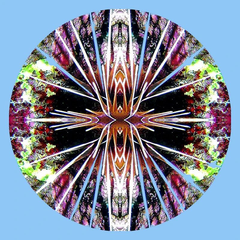 Nature Mandala Underwater, Lionfish
