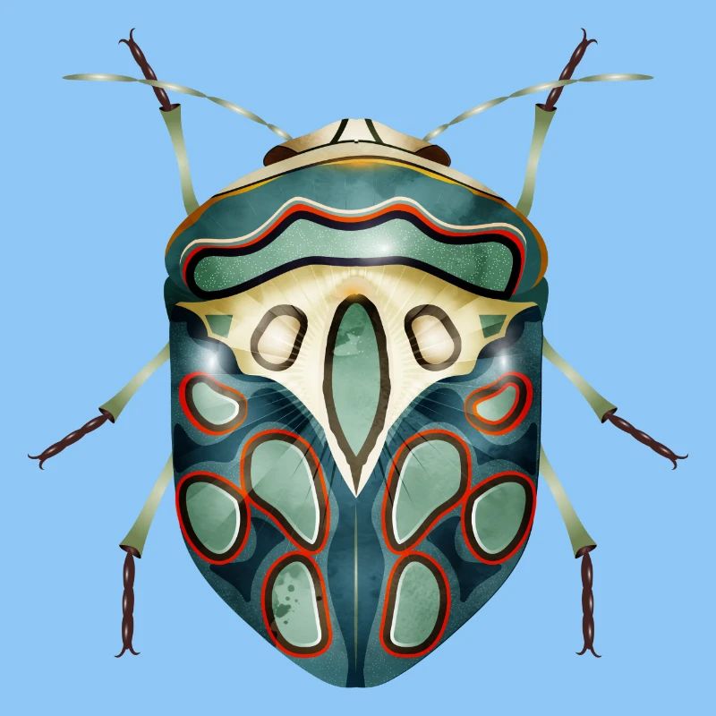 Sphaerocoris annulus fascinant effrayant crawly