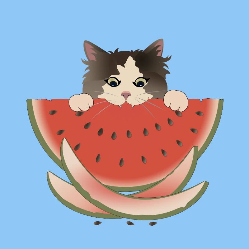 Délice de pastèque Chat