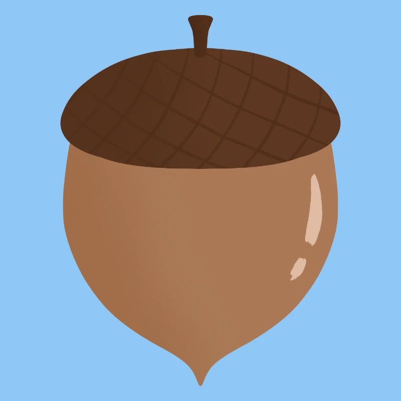 Acorn Illustration