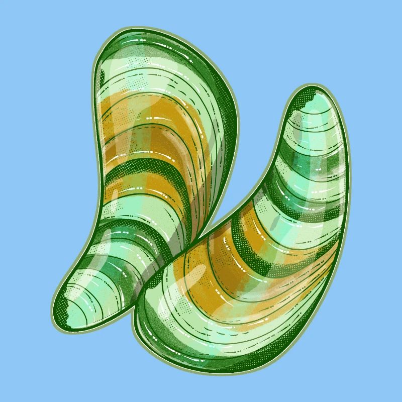 Illustration de moules à lèvres vertes