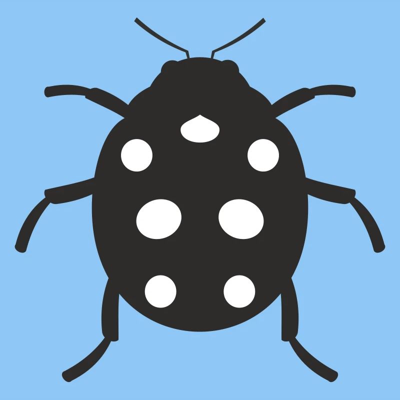 Conception de coccinelle
