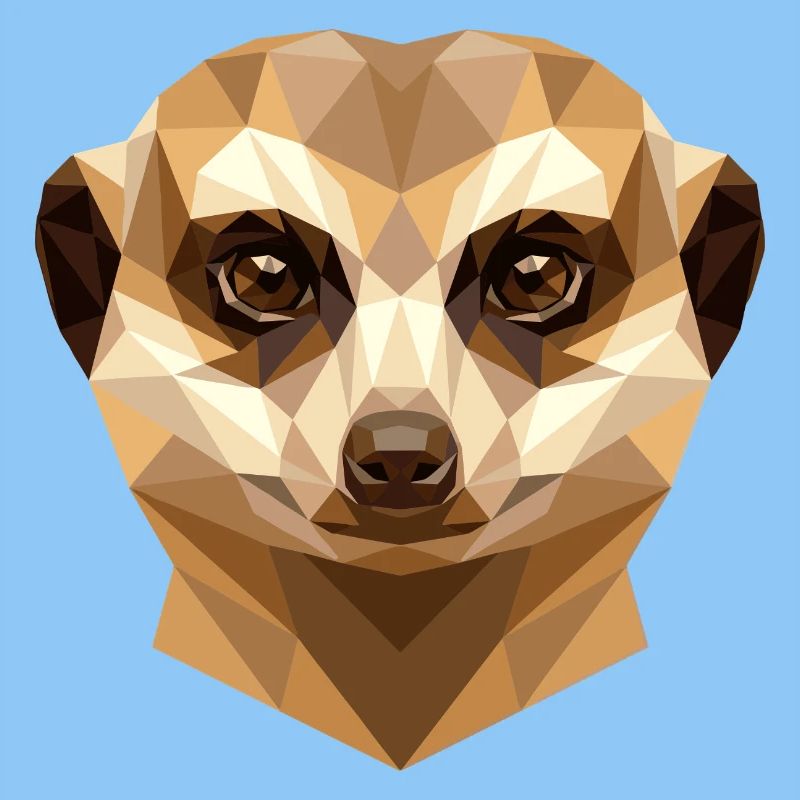Suricate Suricate Douce Mangouste Suricate