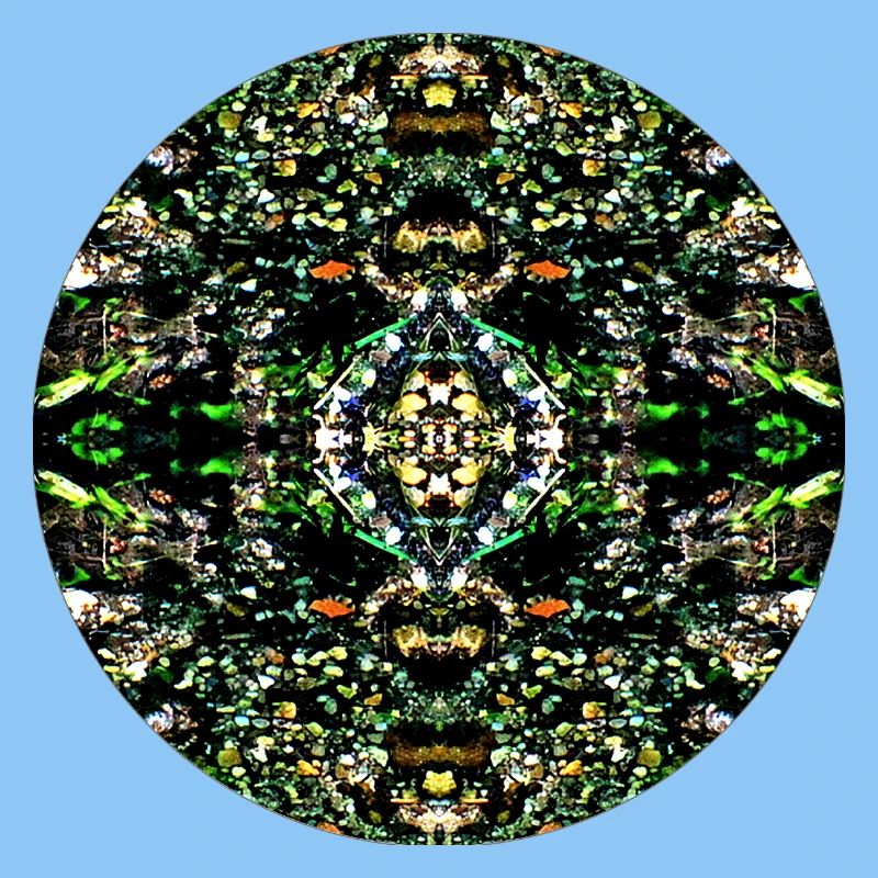Nature Mandala Pebbles in the River