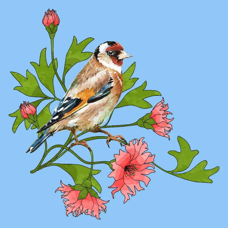 Oiseau coloré