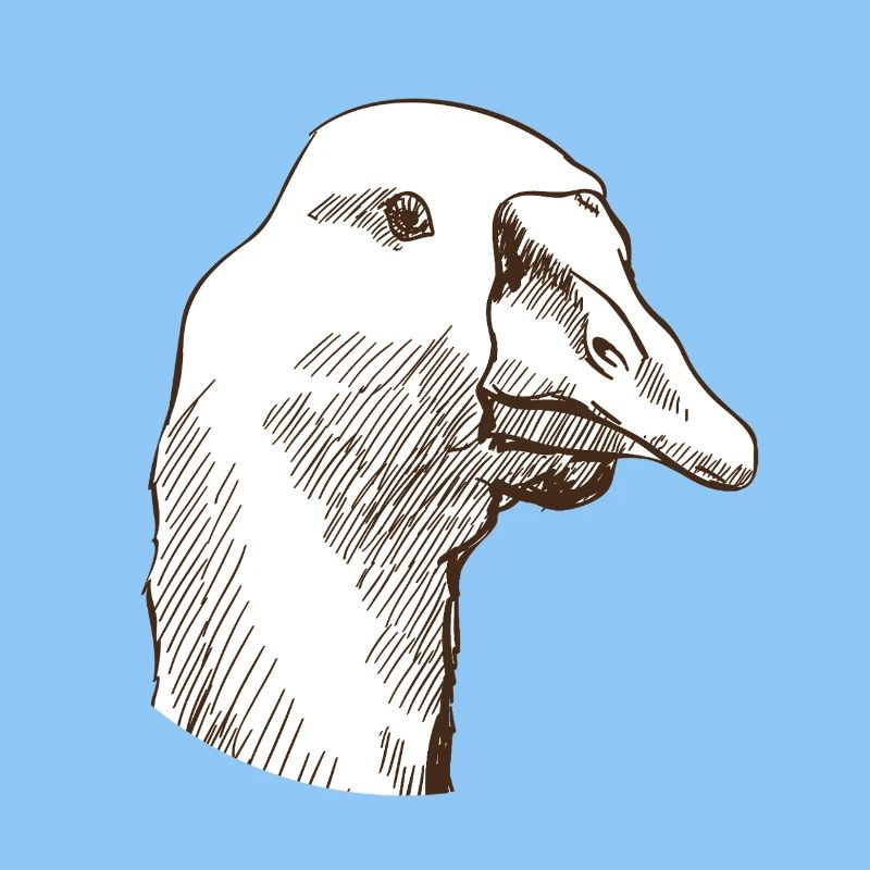 Gans