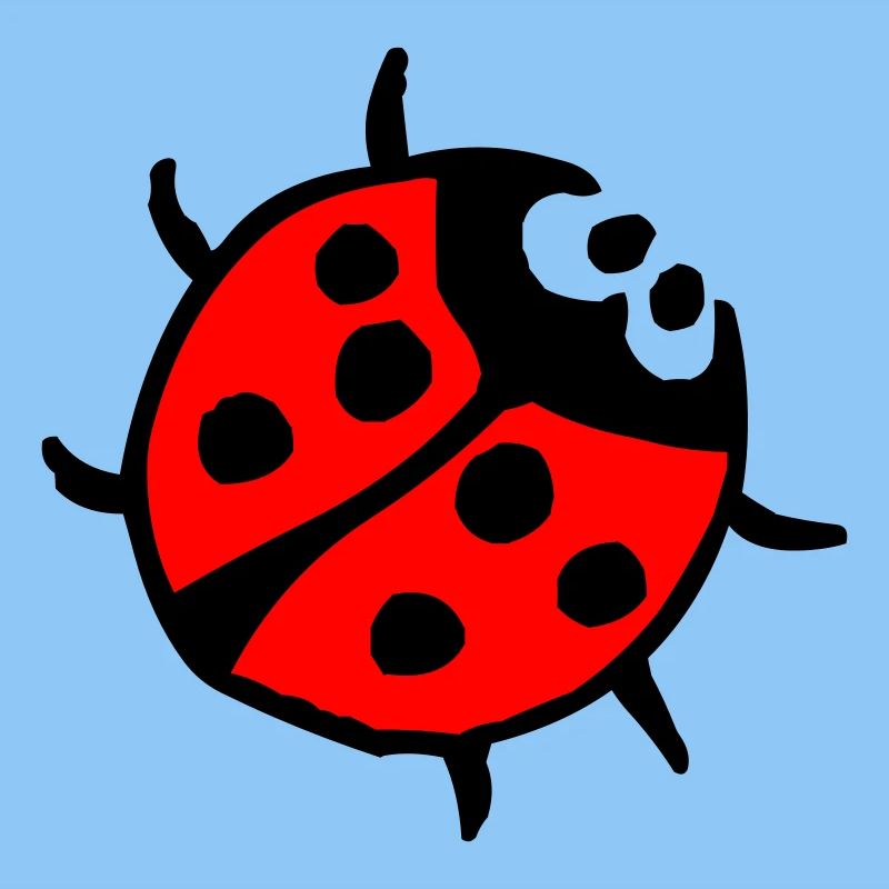 Marienkäfer