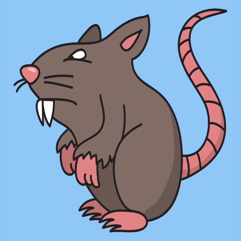 rat