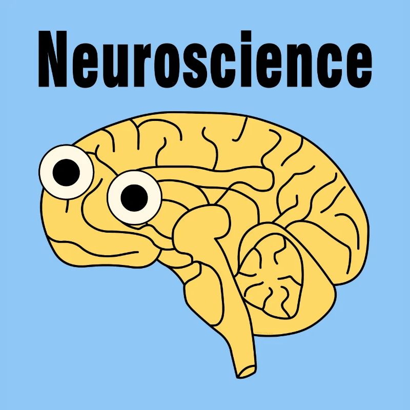 Neuroscience Brain