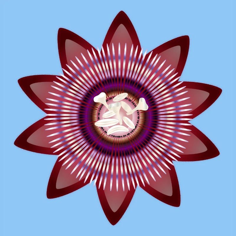 Kunstvolle Blüte einer roten Passionsblume