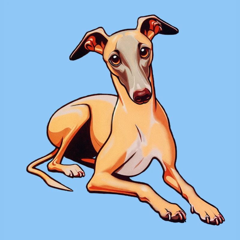 Whippet
