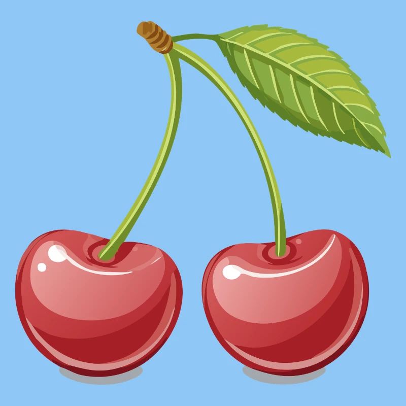 Cherries Cherry Fruit Fruit Fruits Drawing
