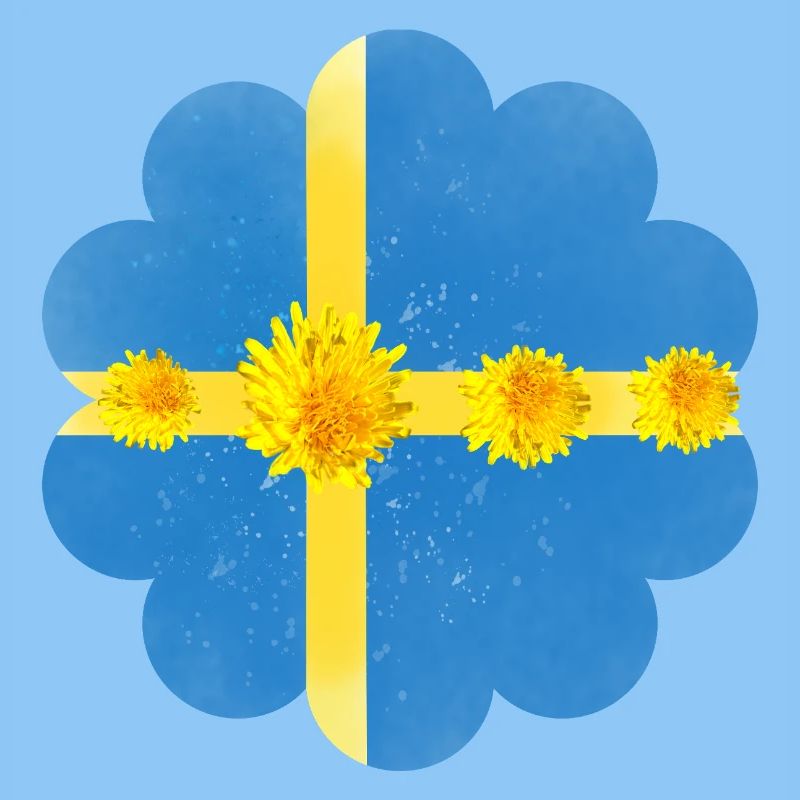 Suède Pissenlit Fleurs Suède Drapeau
