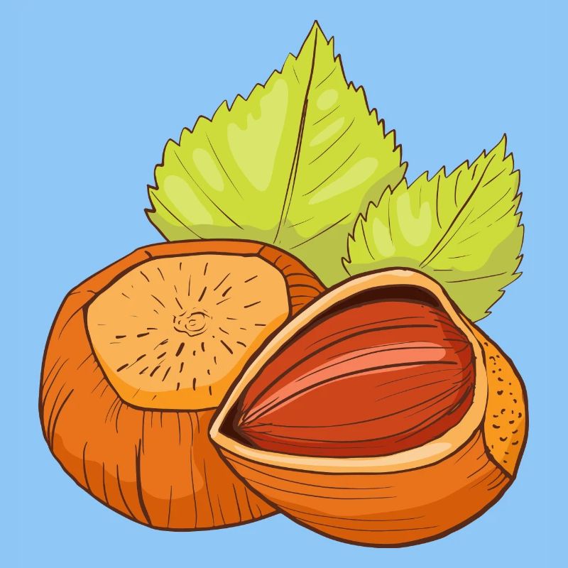 Hazelnut common hazelnut shrub