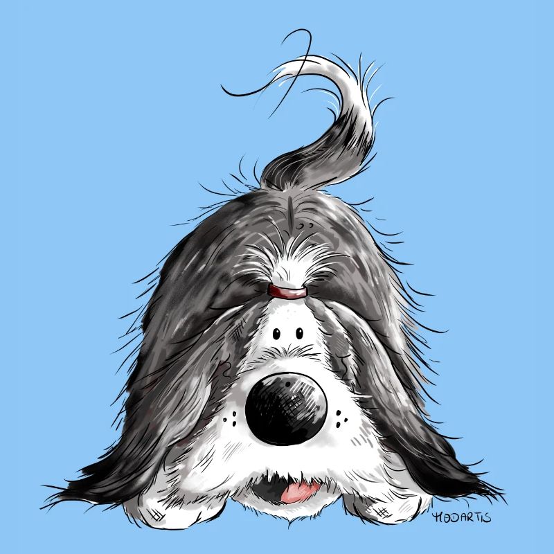 Fröhlicher Bearded Collie