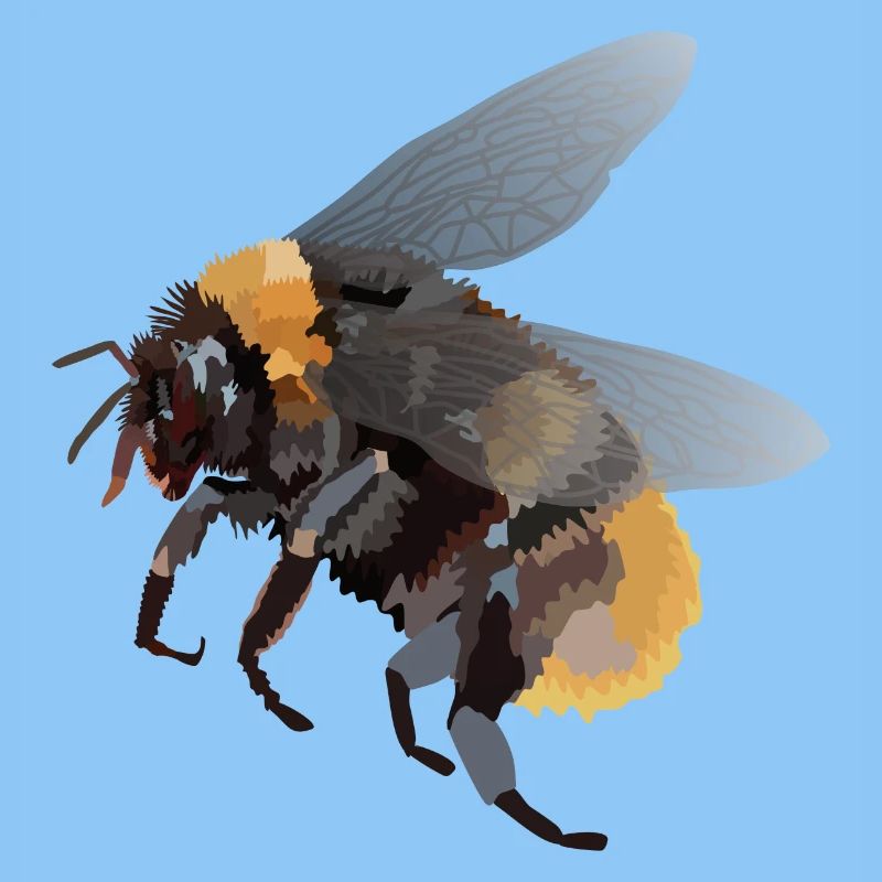 Heike, die Hummel