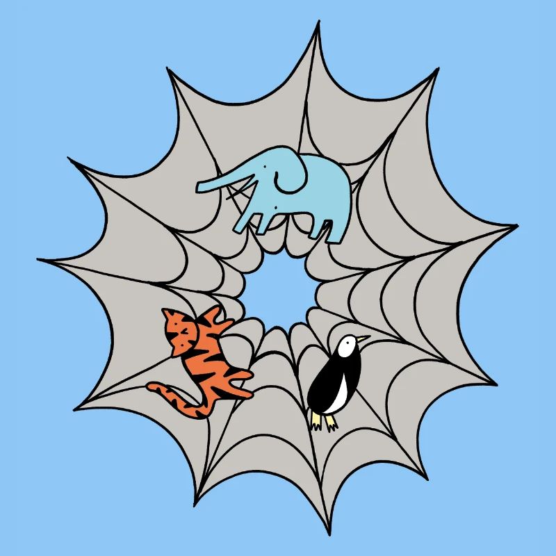 Spider web