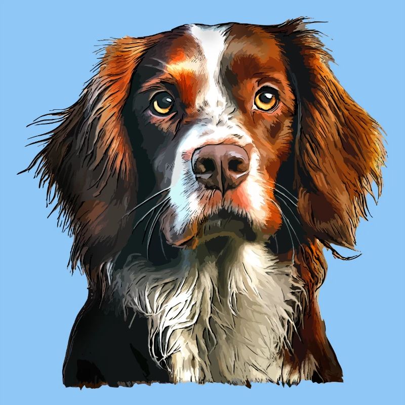 Brittany Spaniel