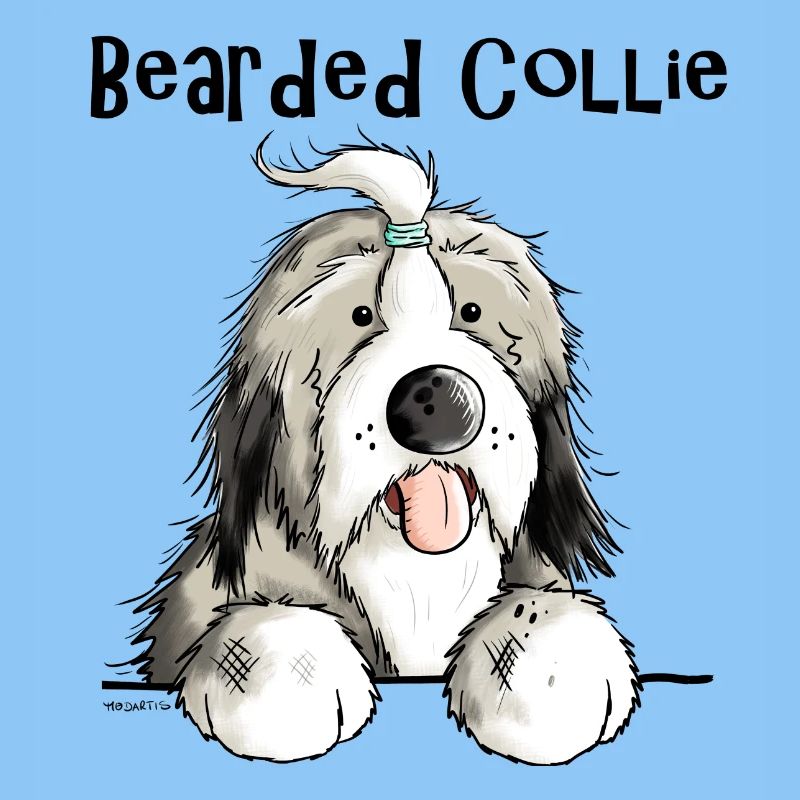 Süßer Bearded Collie