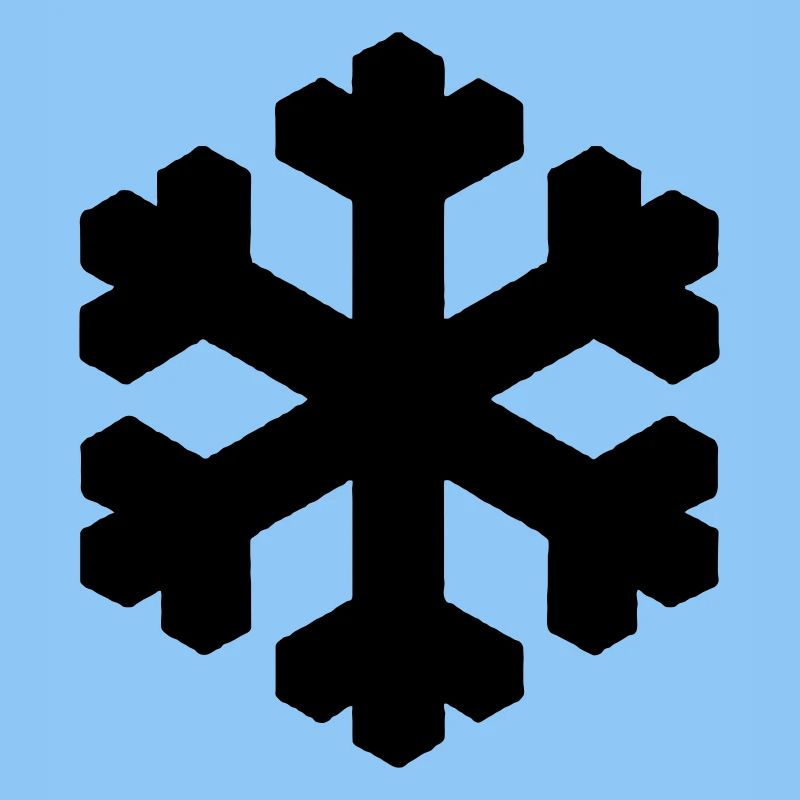 Flocon de neige noir