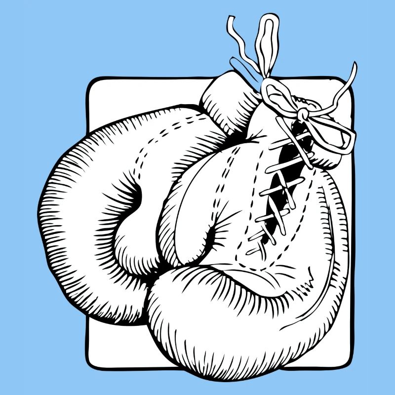 Boxhandschuhe