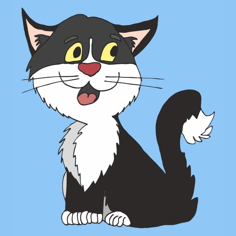cat black white