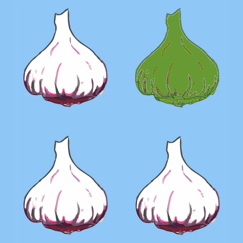 knoblauch 4er