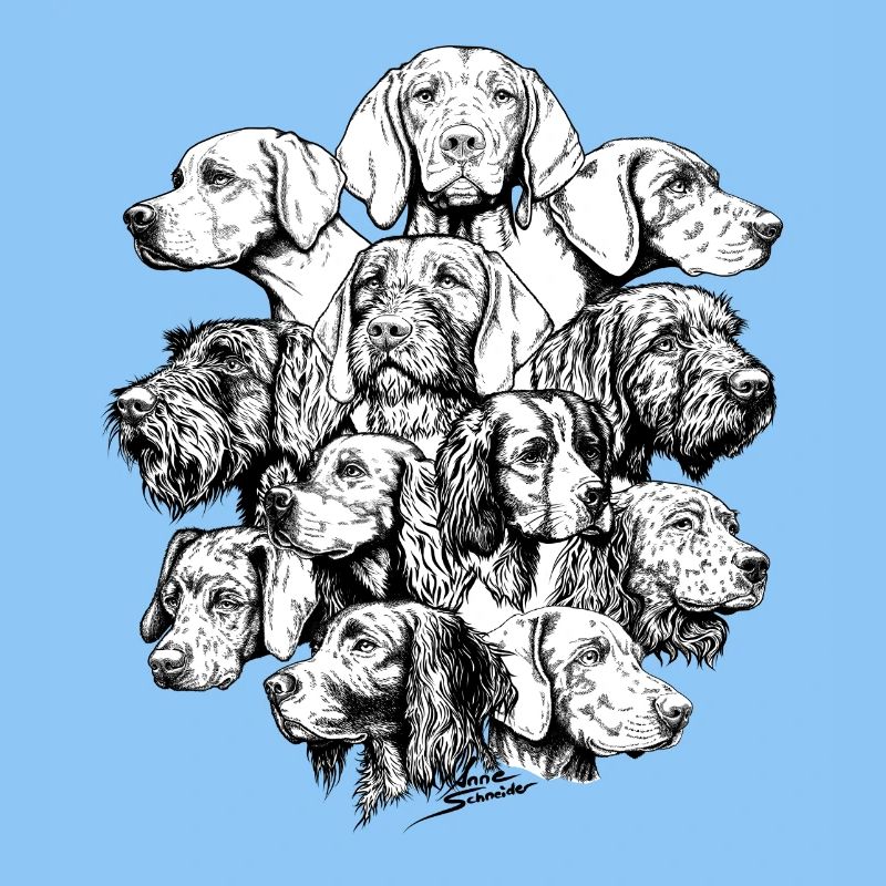 Chiens pointant des objets cachés