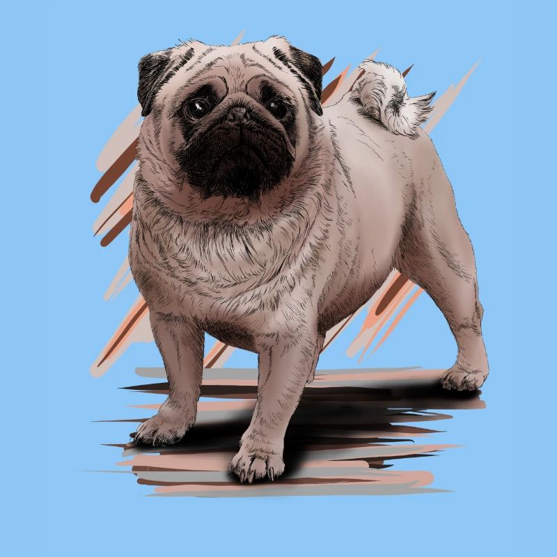 Mops