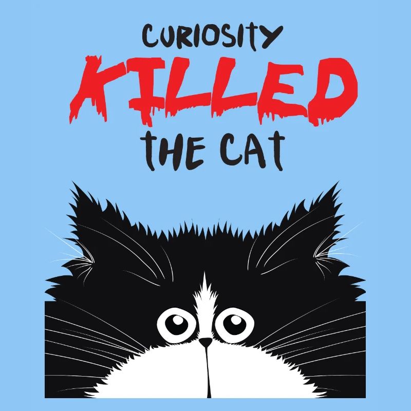 Curious cat
