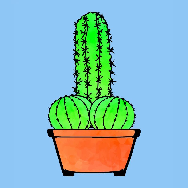 Provocative Cactus and Aloe