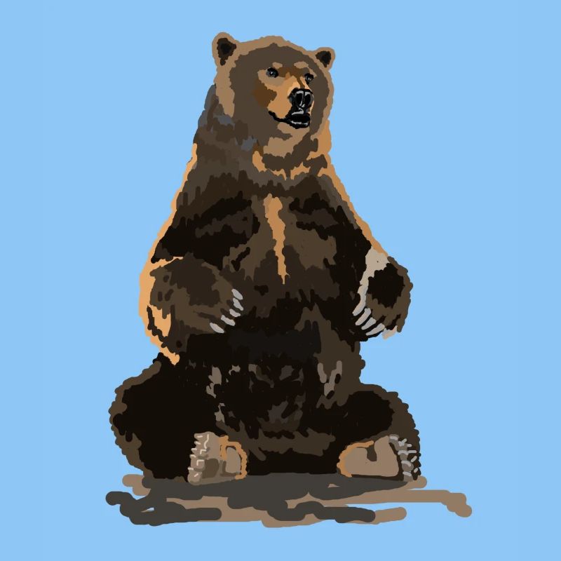 Bär