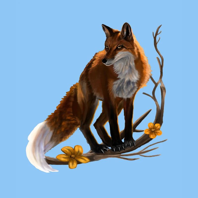 fox