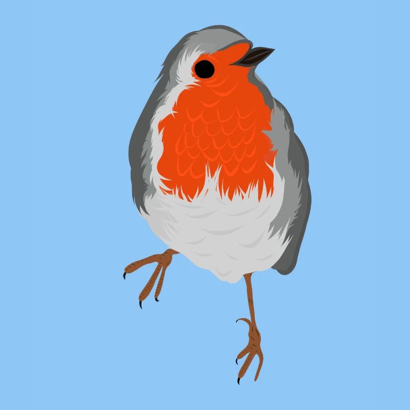 Robin