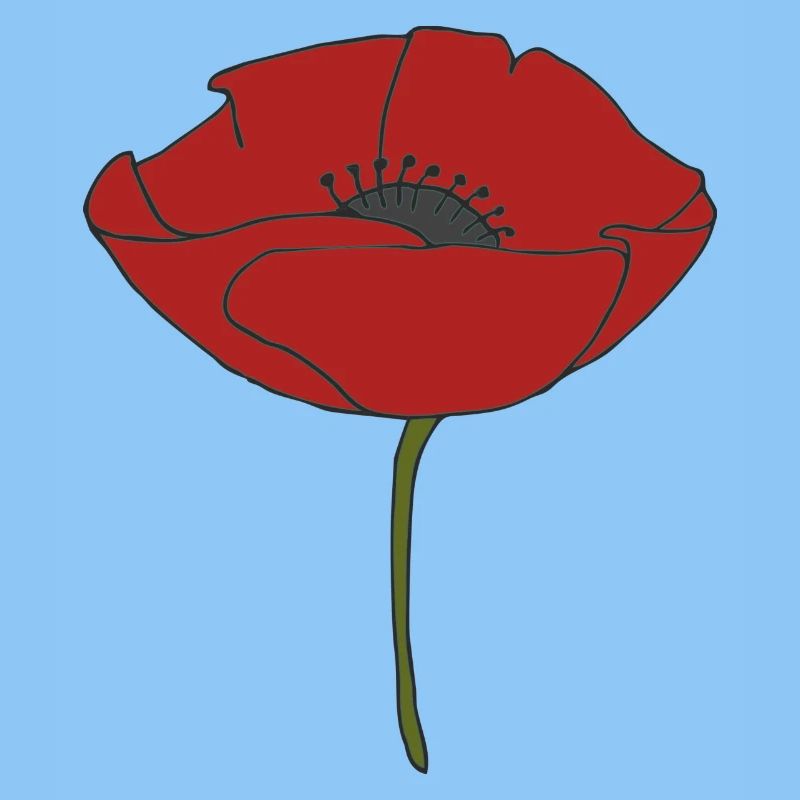 mohnblume