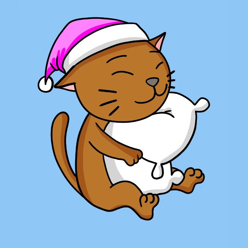 Katze Katzenrasse Abessinierkatze