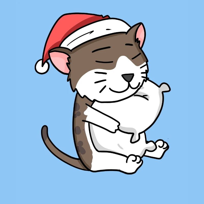 Chat Mignon Chat Birman Fatigué Noël