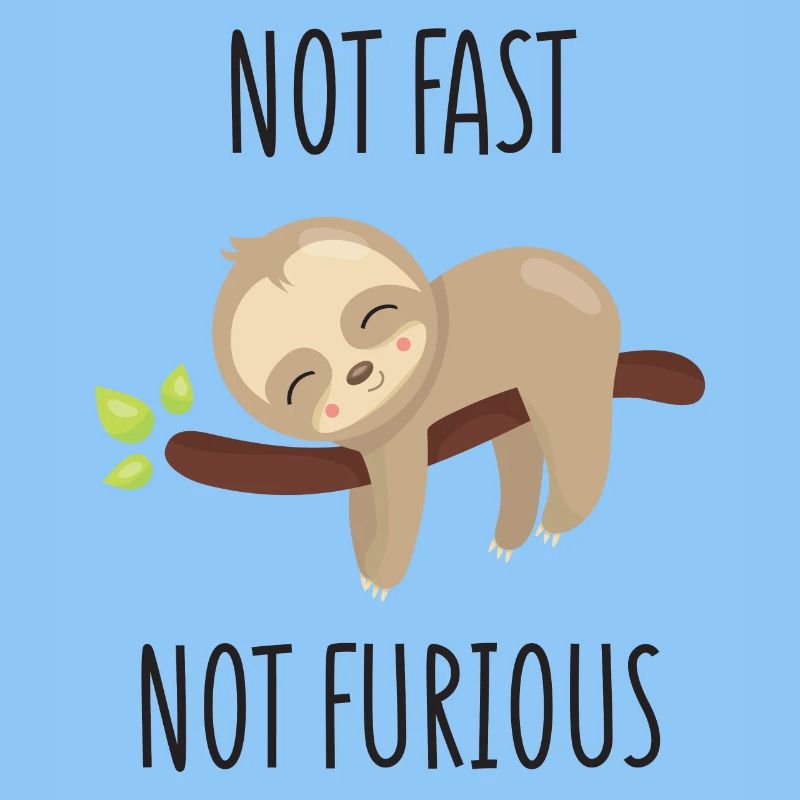 Not Fast, Not Furious