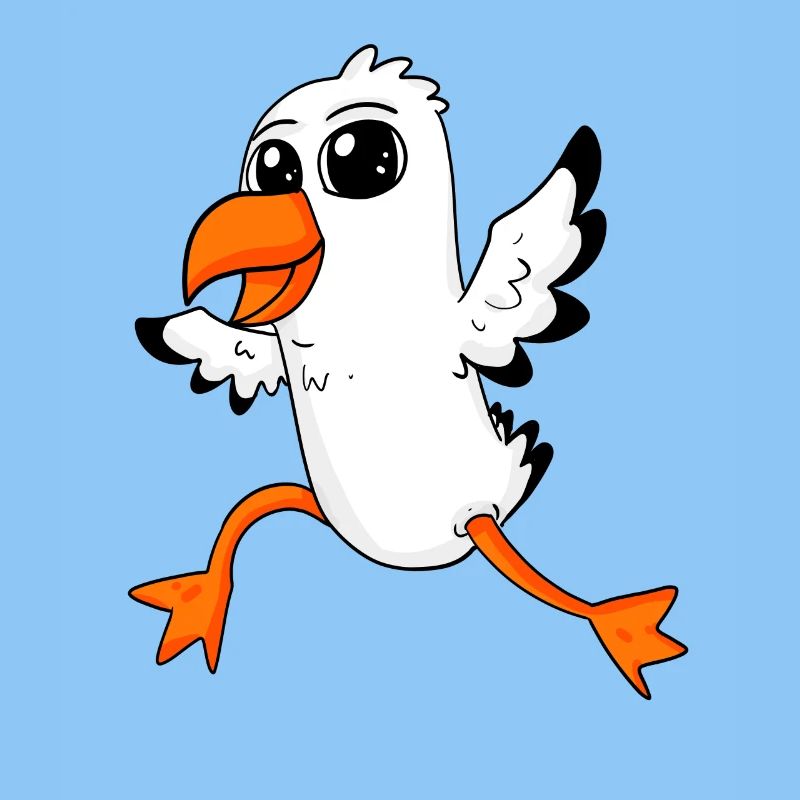 Möwe Vogel Nordsee