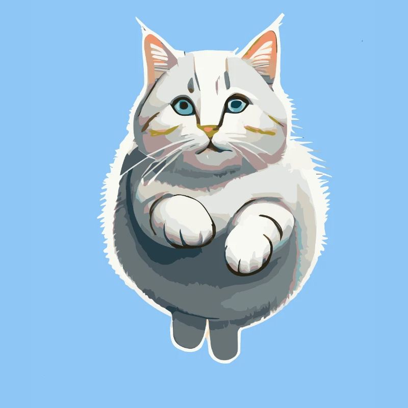 Le chat dans le saut