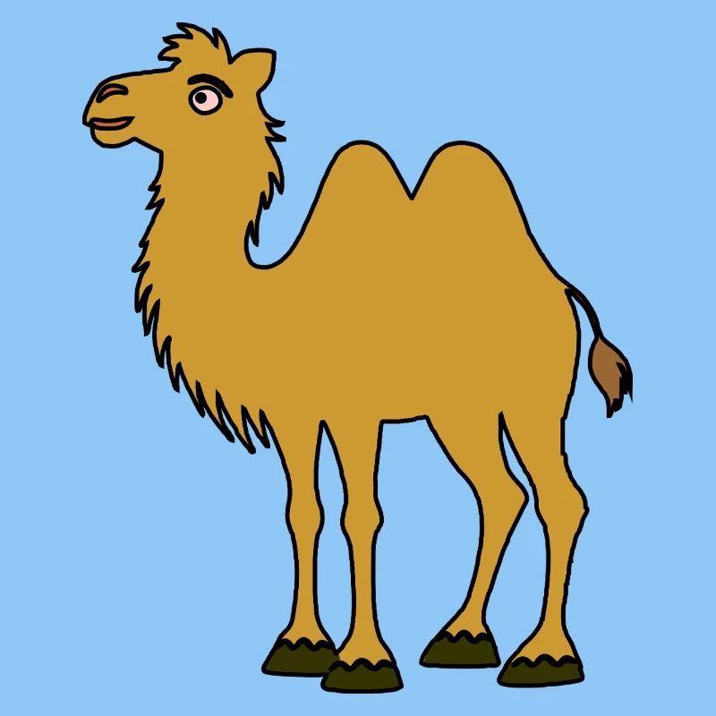Braunes Kamel mit zwei Höckern