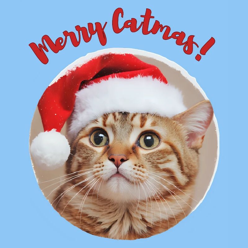 Fröhliche Catmas!