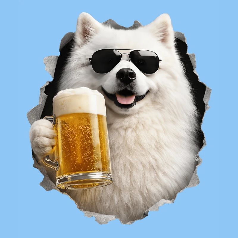 Japanischer Spitz Bier