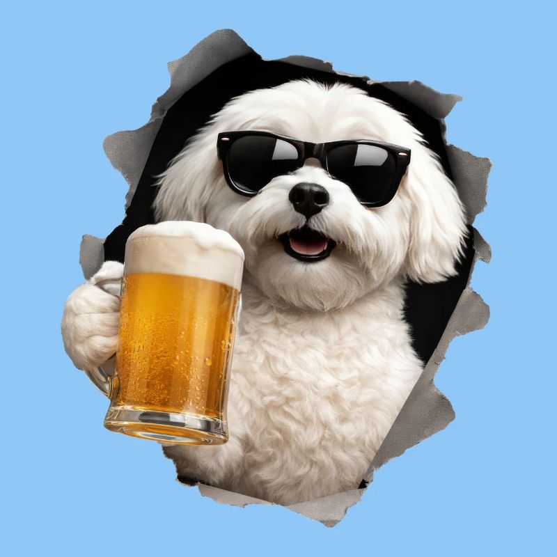 Maltesisches Bier
