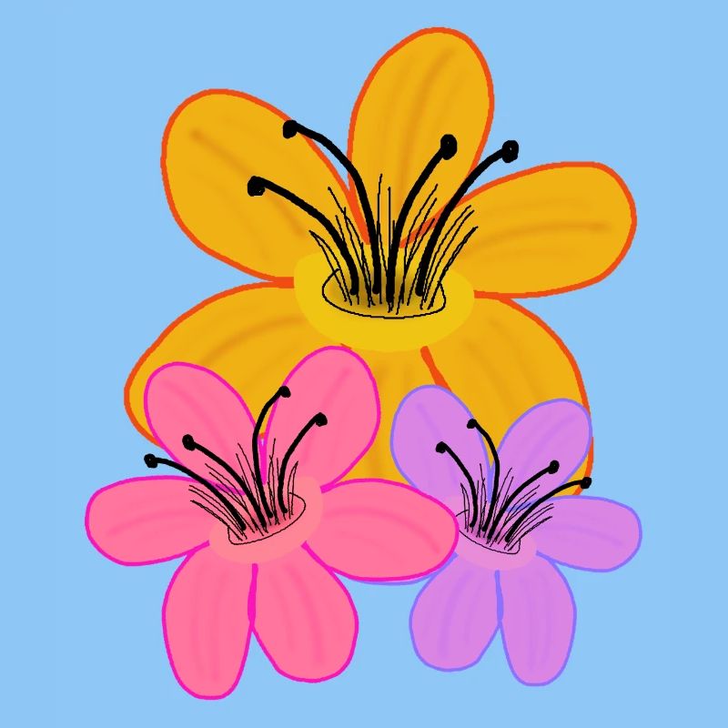 Sonner  Blumen Garten Blume Flora